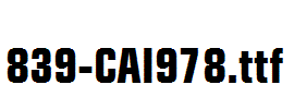 fonts 839-CAI978.ttf