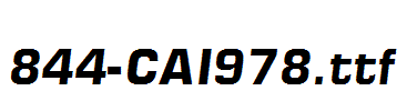 fonts 844-CAI978.ttf