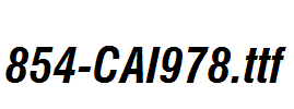 fonts 854-CAI978.ttf