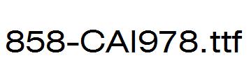 fonts 858-CAI978.ttf