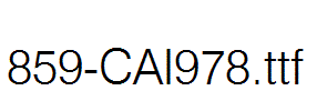 fonts 859-CAI978.ttf