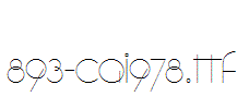 fonts 893-CAI978.ttf