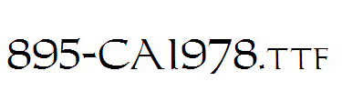 fonts 895-CAI978.ttf