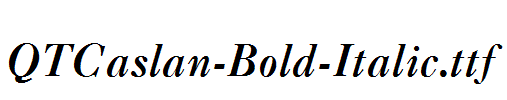 QTCaslan-Bold-Italic.ttf