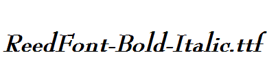 ReedFont-Bold-Italic.ttf