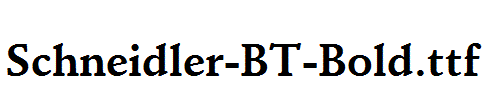 Schneidler-BT-Bold.ttf