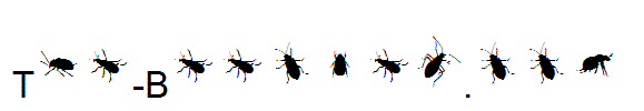 The-Beetles.ttf