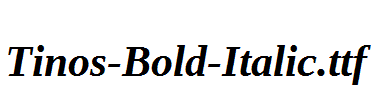 Tinos-Bold-Italic.ttf