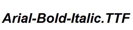 Arial-Bold-Italic.TTF