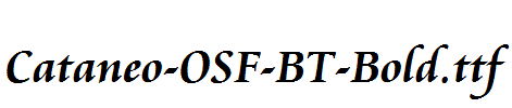 Cataneo-OSF-BT-Bold.ttf