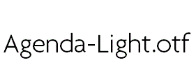 Agenda-Light